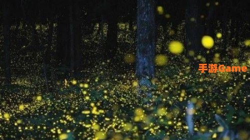 夜的回忆